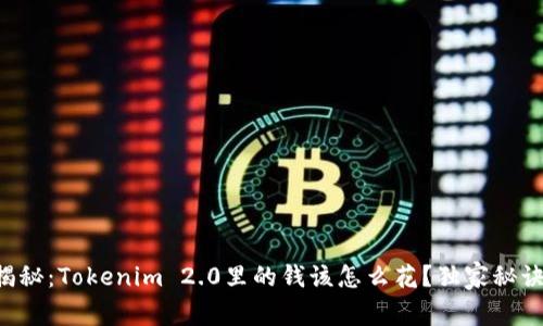 专家揭秘：Tokenim 2.0里的钱该怎么花？独家秘诀分享！