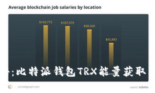 专家揭秘：比特派钱包TRX能量获取独家秘诀