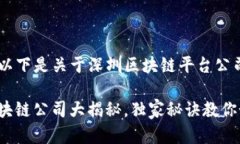 rb根据您的请求，以下是关于深圳区块链平台公司