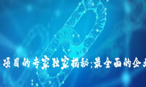 区块链投资项目的专家独家揭秘：最全面的企业类型揭秘！