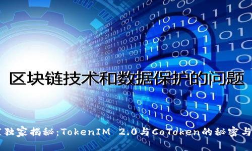 专家独家揭秘：TokenIM 2.0与CoToken的秘密与应用