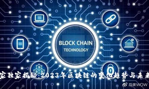 区块链专家独家揭秘：2023年区块链的变化趋势与未来发展秘诀