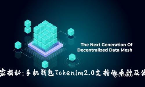 专家独家揭秘：手机钱包Tokenim2.0支持的币种及使用秘诀