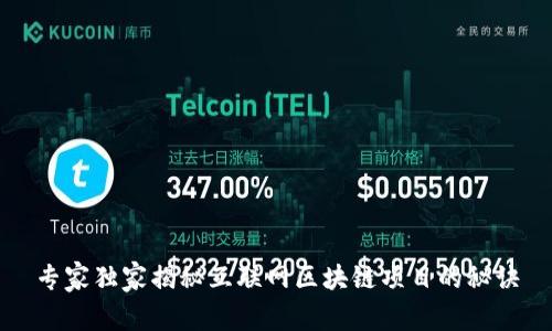 专家独家揭秘互联网区块链项目的秘诀