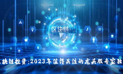 揭秘区块链投资：2023年值得关注的龙头股专家独家推荐