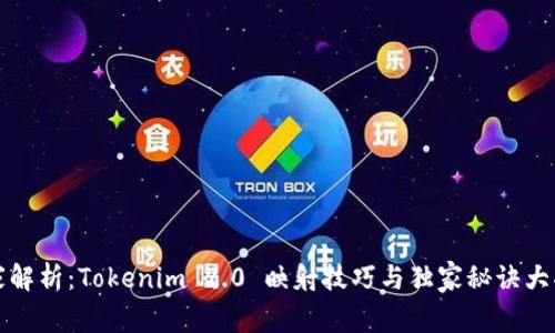 专家解析：Tokenim 2.0 映射技巧与独家秘诀大揭秘