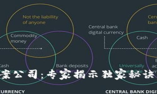 精选区块链备案公司：专家揭示独家秘诀，助你轻松选择