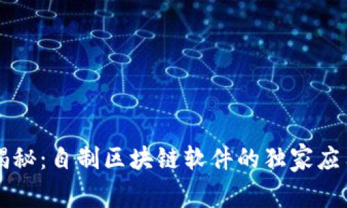 专家揭秘：自制区块链软件的独家应用秘诀
