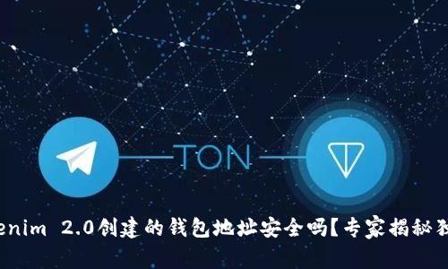 使用Tokenim 2.0创建的钱包地址安全吗？专家揭秘独家秘诀！