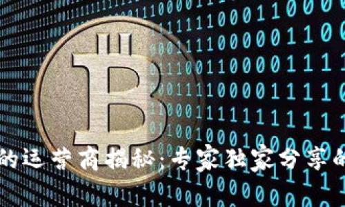 区块链中的运营商揭秘：专家独家分享的成功秘诀