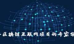 独家揭秘：信丰区块链互联网项目的专家分析与