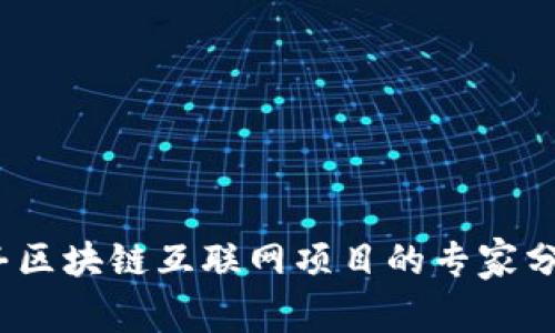 独家揭秘：信丰区块链互联网项目的专家分析与应用秘诀