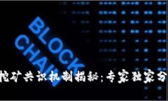 区块链挖矿共识机制揭秘：专家独家分享秘诀！