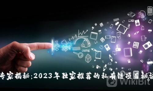 专家揭秘：2023年独家推荐的私有链项目秘诀