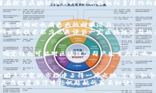 ui
区块链神奇的股票有哪些？专家揭秘独家秘诀！
/ui
区块链, 股票投资, 科技创新/guanjianci

引言
区块链技术近年来备受瞩目，尤其是在金融和投资领域。越来越多的投资者开始关注那些与区块链相关的股票，想要借此机会在这个快速发展的领域中占得先机。说真的，区块链不仅仅是比特币的代名词，它所蕴含的技术潜力，正在引领一场投资革命。那么，今天就让我们一起来揭秘那些与区块链相关的“神奇股票”，看看这些股票为什么被认为具备独特的投资价值。

区块链是什么？
在深入探讨股票之前，我们先来聊聊什么是区块链。简单来说，区块链是一种去中心化的数字账本技术，它允许数据在网络中安全地存储和传输而无需依赖中央机构。区块链的这一特性使得它在透明度、安全性和可追溯性上都具有显著优势，这也正是它在金融、物流、医疗等多个领域得到广泛应用的原因。

与区块链相关的股票
那么，什么样的股票可以算作“与区块链相关”？简单来说，任何一家在业务中使用或开发区块链技术的公司，其股票都可能被视为区块链股票。以下是一些值得关注的“神奇股票”。

1. Square Inc. (现在的Block Inc.)
提到区块链股票，Square（现已更名为Block）绝对是个不得不提的名字。Square 是一家金融科技公司，由杰克·多西（Jack Dorsey）创立。正如许多人所知道的，Square 的现金应用（Cash App）允许用户方便快捷地购买比特币。此外，Block 还在区块链技术上进行了一系列创新和投资，致力于建设一个去中心化的金融生态系统。从长远来看，Square 在区块链领域的投资被认为是非常有前景的。

2. NVIDIA Corporation
NVIDIA 可能更多被大家认为是图形处理器和游戏硬件的巨头，但在区块链领域，NVIDIA 的显卡几乎是挖矿的“黄金标准”。众多区块链项目和挖矿者都依赖于 NVIDIA 的强大计算能力。这使得 NVIDIA 的股票在区块链热潮中受益匪浅。因此，如果你想在投资中借助区块链的发展，NVIDIA 无疑是一个值得关注的选择。

3. Coinbase Global, Inc.
Coinbase 是一个数字货币交易平台，用户可以在那里买卖各种加密货币。作为美国最大的加密货币交易所之一，Coinbase 在区块链相关投资者中也是享有盛誉的。说实话，Coinbase 在加密货币市场的领导地位使其股票被认为是与区块链相挂钩的“神奇股票”。不过，投资Coinbase也有风险，毕竟加密市场波动非常大，小伙伴们要考虑清楚哦！

4. Riot Blockchain, Inc.
不玩虚拟空间，经久不衰的 Riot Blockchain 是一家专注于区块链技术及数字资产的公司。Riot 的业务主要集中于比特币挖矿和区块链应用的开发。对于喜欢在波动中找寻收益的投资者来说，Riot 提供了一个比较独特的投资机会，当然了，伴随着高风险。

5. Marathon Digital Holdings, Inc.
Marathon Digital 专注于比特币挖矿，也是区块链相关股票之一，公司的挖矿产能正在逐渐增加。同时，Marathon 也在努力开发区块链技术和应用。正因为其在比特币挖矿领域的布局，让它的股票在市场中备受关注，适合那些希望通过区块链来获取收益的投资者。

为什么投资区块链股票？
那么，为什么要投资这些区块链股票呢？首先，区块链技术的发展潜力巨大。随着更多行业认知到区块链的优势，我们可以期待它在未来的产业中扮演越来越重要的角色。此外，区块链带来的去中心化理念，将会重新定义很多传统行业的规则。
其次，区块链的持续创新为投资者提供了大量机会。比如，不同的区块链项目可能会产生不同的应用场景，从而衍生出众多的投资选项。从加密货币到去中心化金融（DeFi），投资者在探索区块链股票时，可以接触到多样化的投资组合。

如何选择合适的区块链股票？
在投资区块链股票之前，有几点需要考虑的要素。首先是公司的业务模式和盈利模式。像 Square 和 Coinbase 这样的公司有明确的盈利模式，而一些小型初创公司可能风险更高，但同时也有更大的回报潜力。
其次，了解公司的财务状况和市场表现也非常重要。查看公司的财报，了解其收入、利润和负债情况，以及其在行业中的竞争地位都是投资决策的重要依据。而且，是否具备很强的研发和技术能力也是评估一家区块链公司的关键。

投资区块链股票的风险
当然，投资区块链股票也并非没有风险。首先，市场波动性巨大。许多与区块链相关的公司，其股票的价格波动可能会非常剧烈，投资者需要有相应的心理准备。其次，法规政策的不确定性也可能对区块链公司产生重大影响。随着各国政府对区块链和加密货币领域的监管趋严，潜在的政策风险也是投资过程中的一个隐患。

总结
在了解了与区块链相关的多种股票后，可以看出，区块链虽然是一个充满潜力的领域，但投资同样需要谨慎。通过精选有潜力的公司、分析财务数据并关注市场动态，你才能在这个瞬息万变的市场中占得一席之地。总之，如今的投资者们面临着一个奇幻的区块链世界，只要找到对的方向与途径，就绝对可以在这个神奇的领域中斩获丰厚的回馈。
希望今天的分享能够帮助你在区块链投资方面有个更清晰的认识，无论你是新手还是老手，都可以找到适合自己的方法和策略。记住，投资不是一朝一夕的事，保持耐心和理智才是在投资海洋中扬帆起航的真正秘诀！