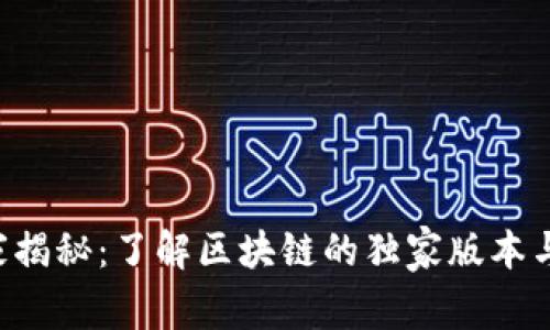 区块链专家揭秘：了解区块链的独家版本与未来趋势！