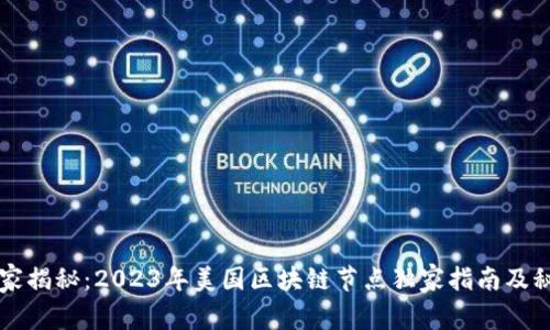 专家揭秘：2023年美国区块链节点独家指南及秘诀