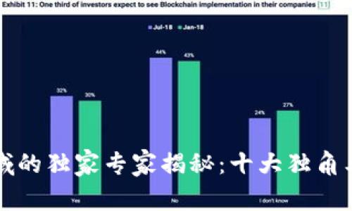 区块链领域的独家专家揭秘：十大独角兽股票秘诀