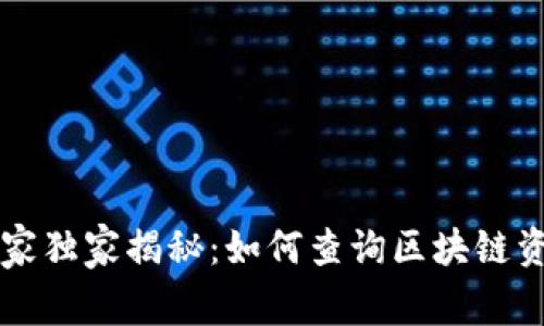 区块链专家独家揭秘：如何查询区块链资料的秘诀