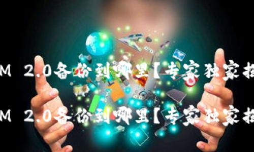 TokenIM 2.0备份到哪里？专家独家揭秘秘诀

TokenIM 2.0备份到哪里？专家独家揭秘秘诀