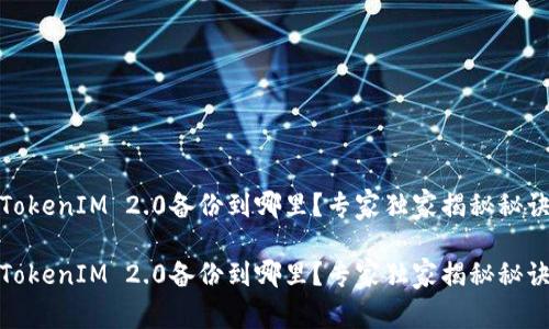 TokenIM 2.0备份到哪里？专家独家揭秘秘诀

TokenIM 2.0备份到哪里？专家独家揭秘秘诀