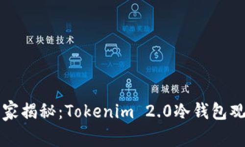 专家独家揭秘：Tokenim 2.0冷钱包观察秘诀