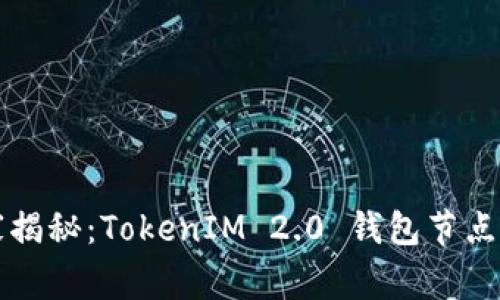 专家独家揭秘：TokenIM 2.0 钱包节点设置秘诀