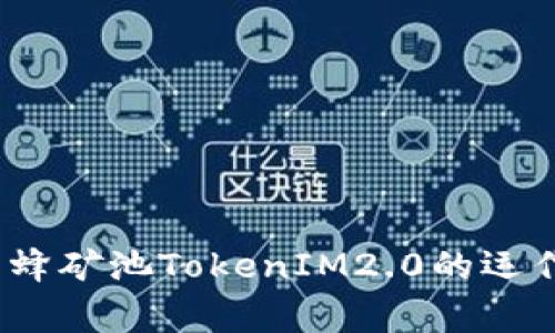 专家独家揭秘：蜜蜂矿池TokenIM2.0的运作机制与投资秘诀