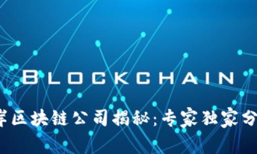 2023年离岸区块链公司揭秘：专家独家分享成功秘诀