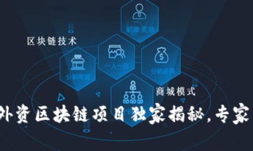 2023年最新外资区块链项目独家揭秘，专家亲揭行业秘诀