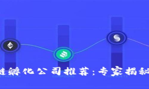 武汉区块链孵化公司推荐：专家揭秘独家秘诀！