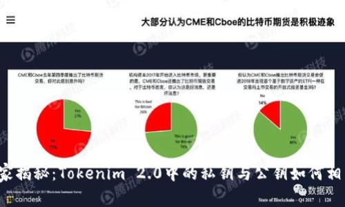 专家独家揭秘：Tokenim 2.0中的私钥与公钥如何相辅相成？