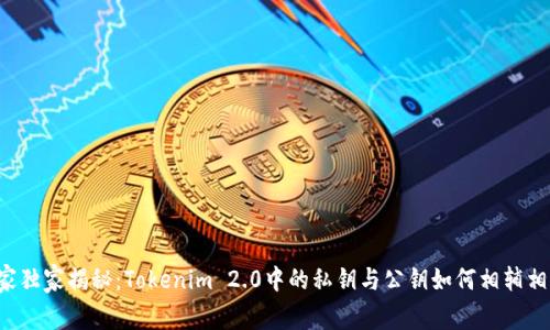 专家独家揭秘：Tokenim 2.0中的私钥与公钥如何相辅相成？