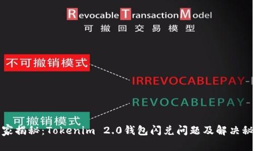 专家揭秘：Tokenim 2.0钱包闪兑问题及解决秘诀