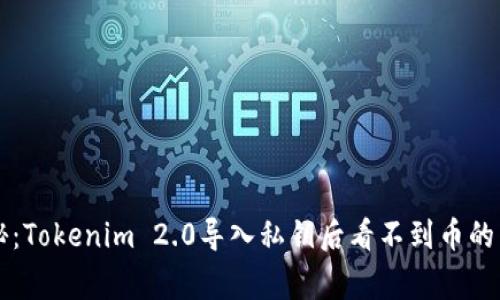 专家揭秘：Tokenim 2.0导入私钥后看不到币的独家秘诀