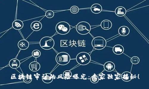 区块链审计的风险曝光：专家独家揭秘！