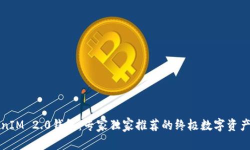揭秘TokenIM 2.0钱包：专家独家推荐的终极数字资产管理秘诀