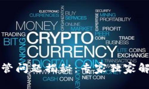 区块链项目监管问题揭秘：专家独家解析与解决秘诀