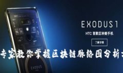 独家揭秘：专家教你掌握区块链脉络图分析方法