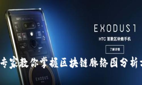 独家揭秘：专家教你掌握区块链脉络图分析方法的秘诀