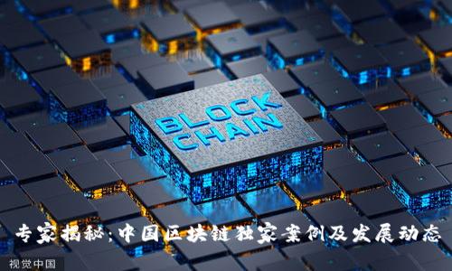 专家揭秘：中国区块链独家案例及发展动态