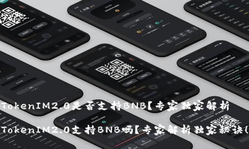 TokenIM2.0是否支持BNB？专家独家解析

TokenIM2.0支持BNB吗？专家解析独家秘诀！
