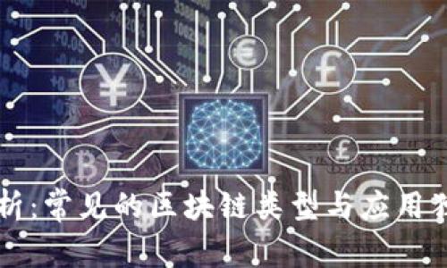 专家解析：常见的区块链类型与应用独家秘诀