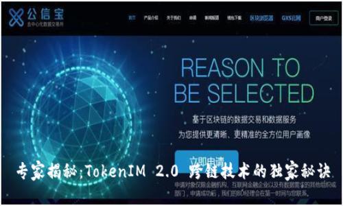 专家揭秘：TokenIM 2.0 跨链技术的独家秘诀