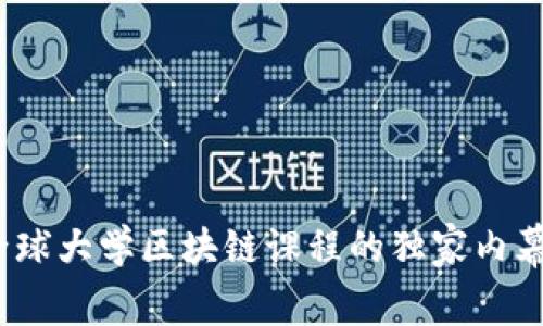 专家揭秘：全球大学区块链课程的独家内幕与学习秘诀