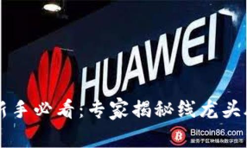 区块链投资新手必看：专家揭秘线龙头股票独家秘诀