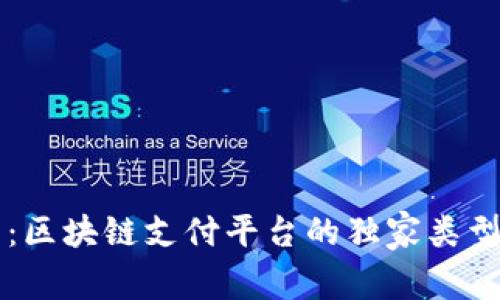 专家揭示：区块链支付平台的独家类型及其秘诀