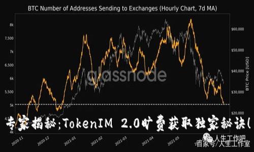 专家揭秘：TokenIM 2.0旷费获取独家秘诀！