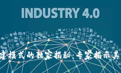 区块链共建模式的独家揭秘：专家揭示其隐秘优点！