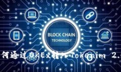 独家揭秘：如何通过OKEx转入Tokenim 2.0的专家秘诀